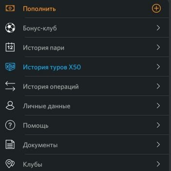 функционал приложения Винлайн на Android