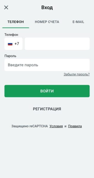 Форма для авторизации в мобильной версии Леон