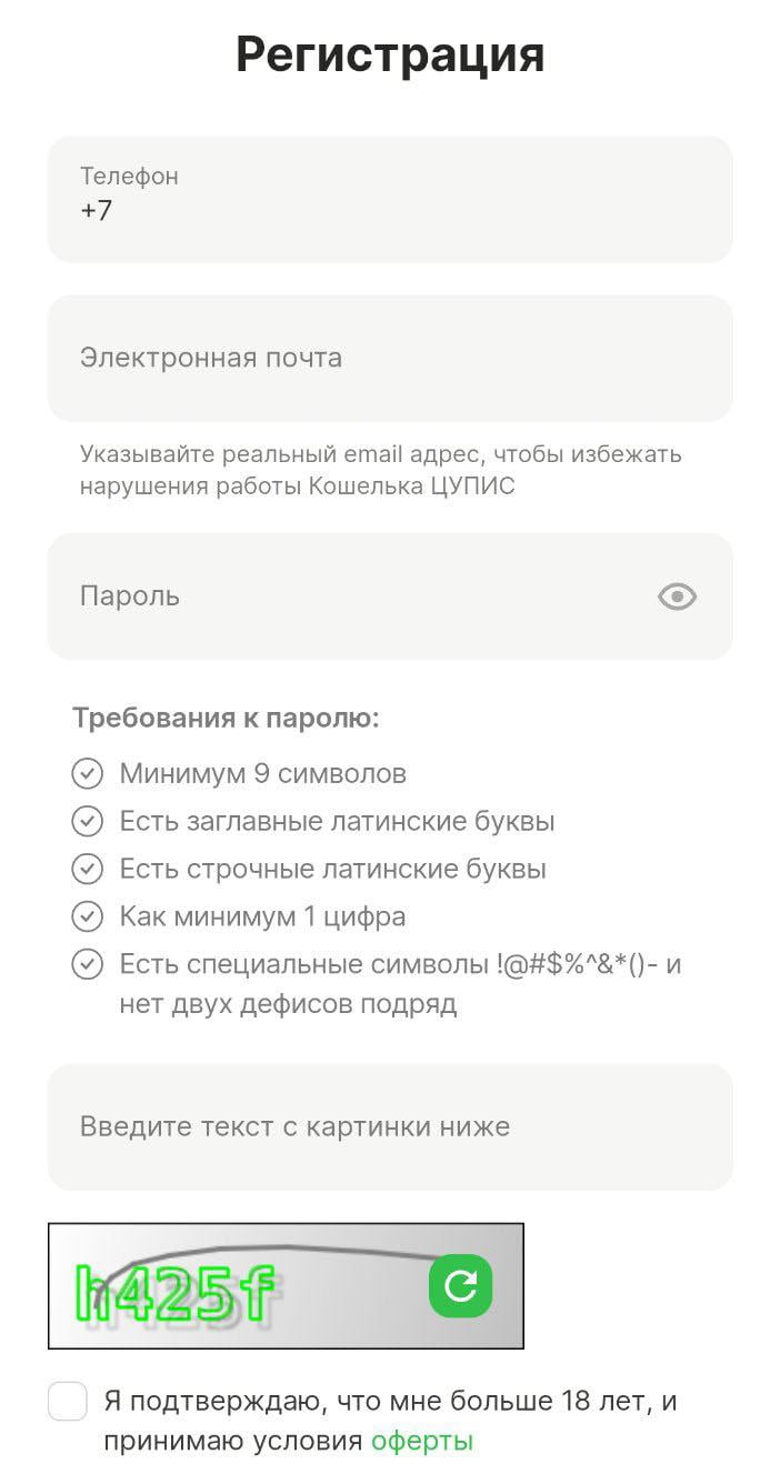 Форма входа для доступа к кабинету в кошельке ЦУПИС